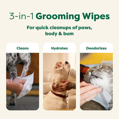 Textured Pet Grooming Wipes