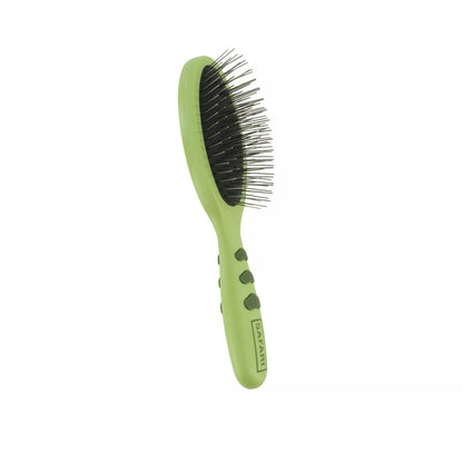 Wire Pin Brush