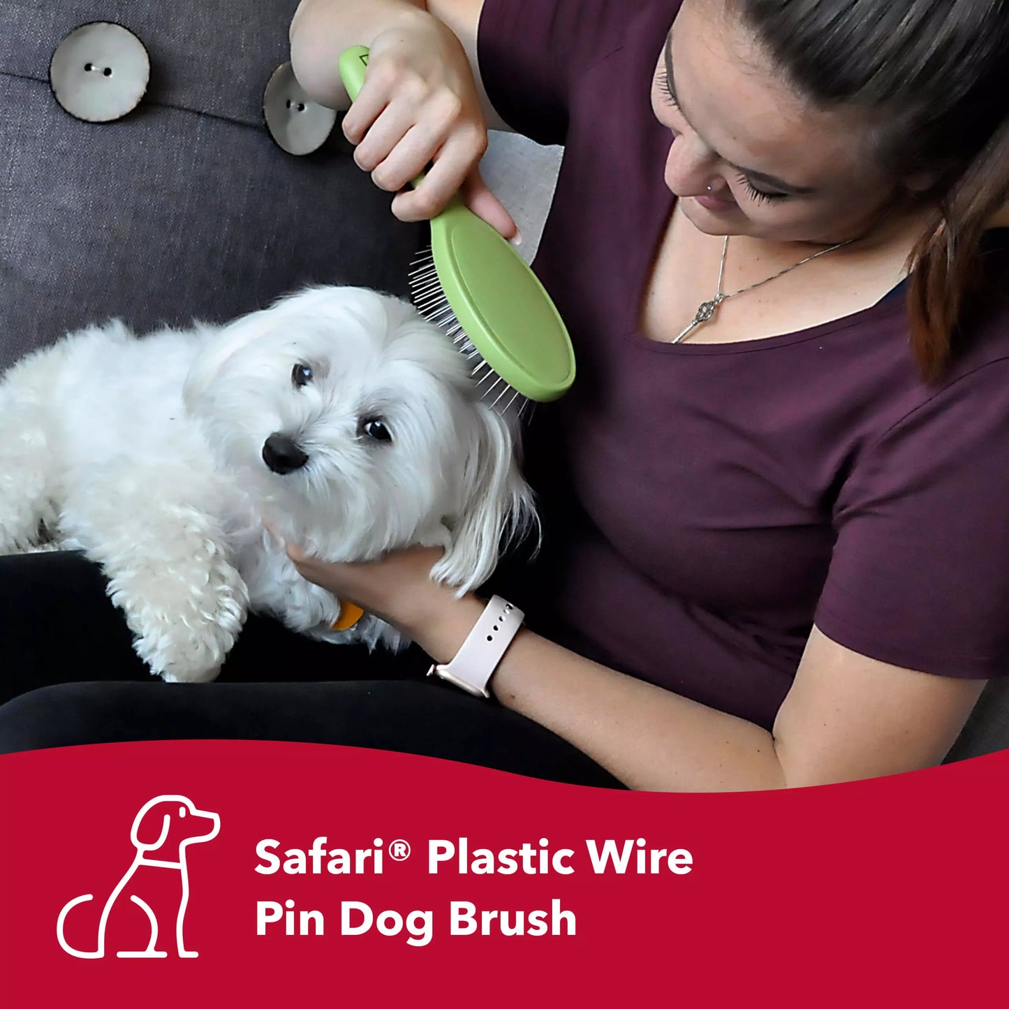 Wire Pin Brush