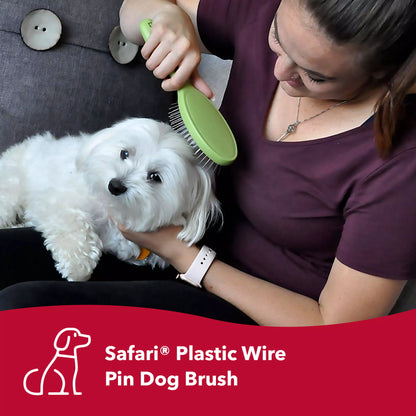 Wire Pin Brush