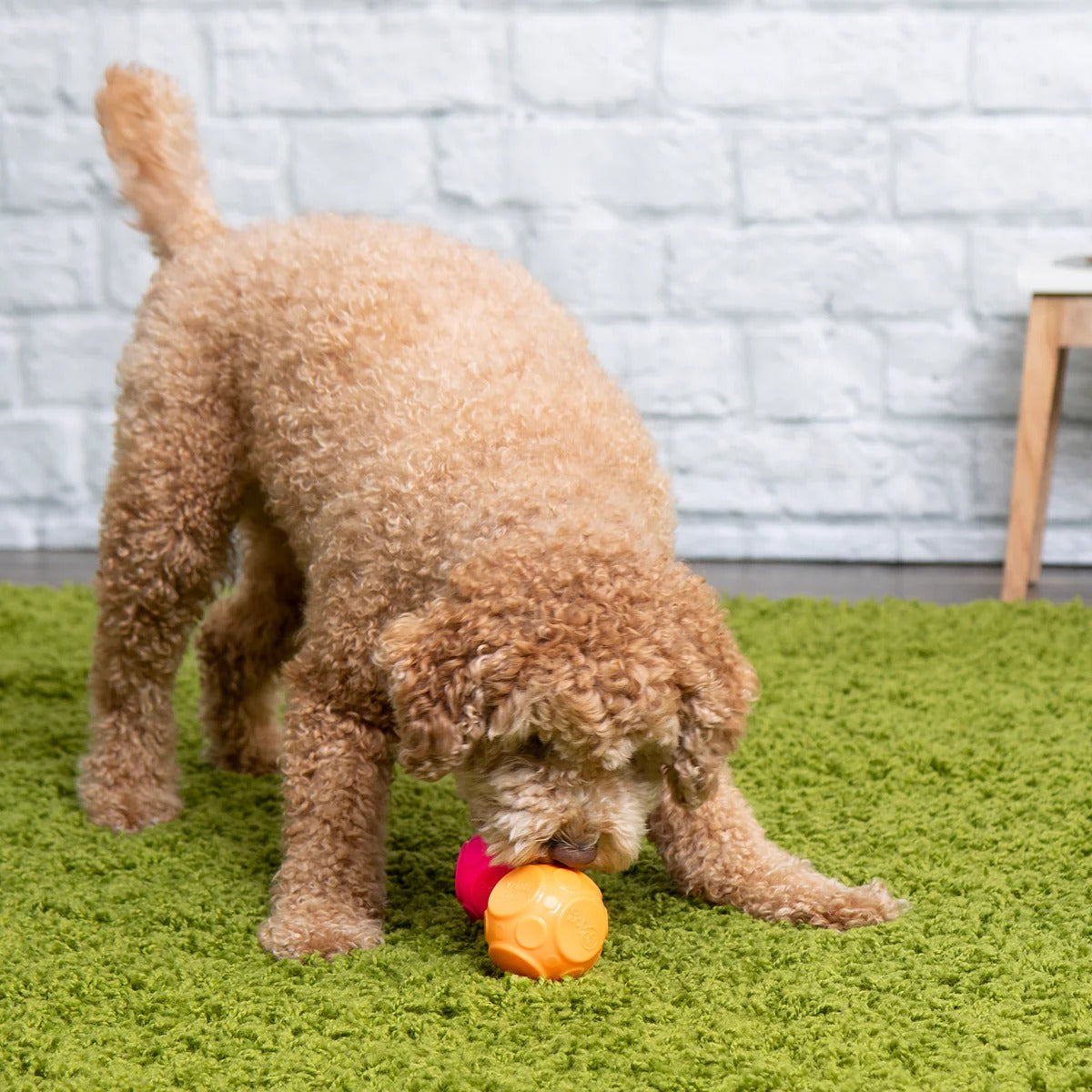 goDog Silent Squeaker Ball 2-Pk